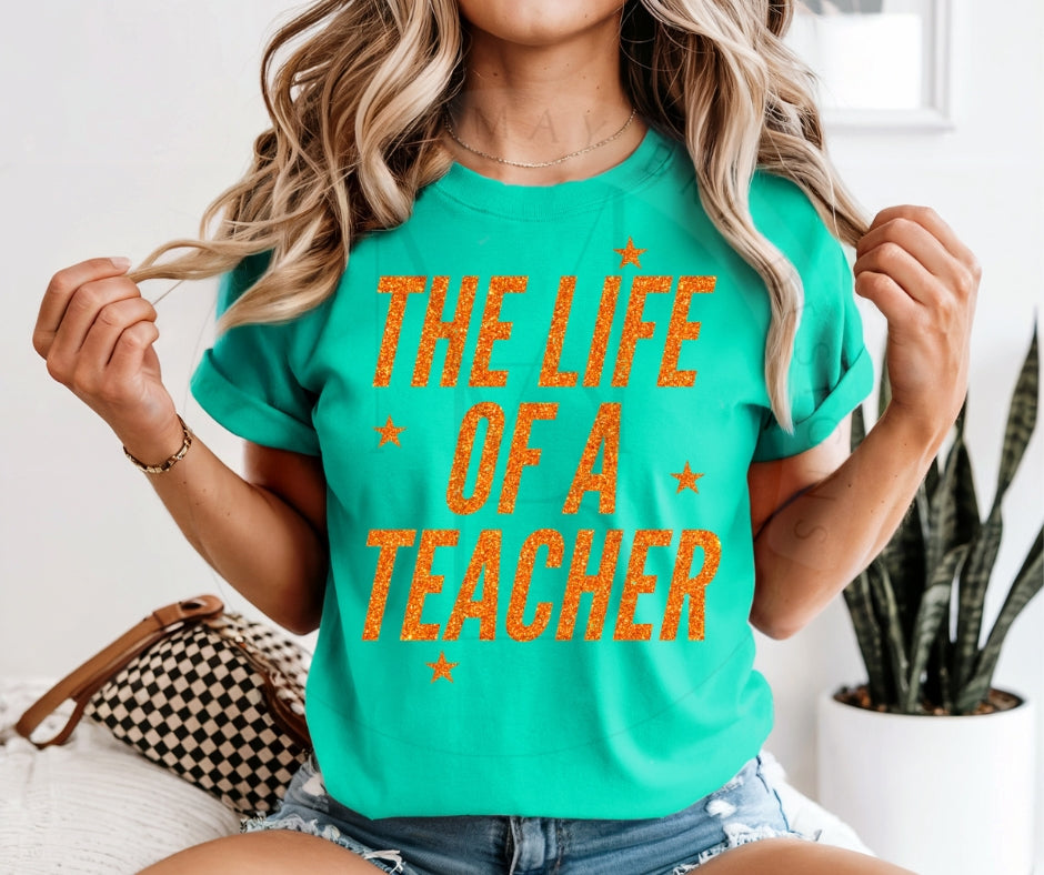 The Life Of A Teacher
